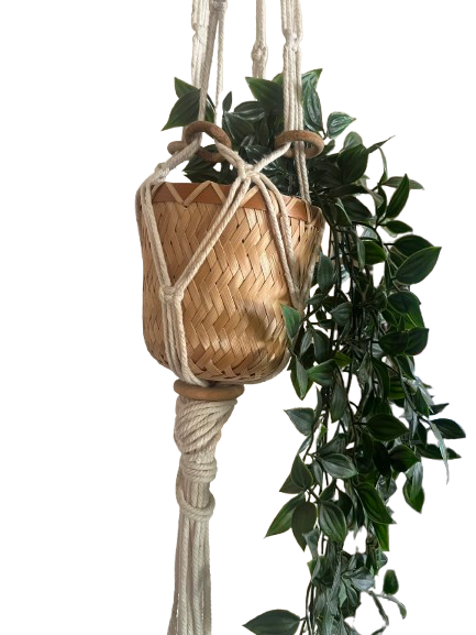 Suspension plante