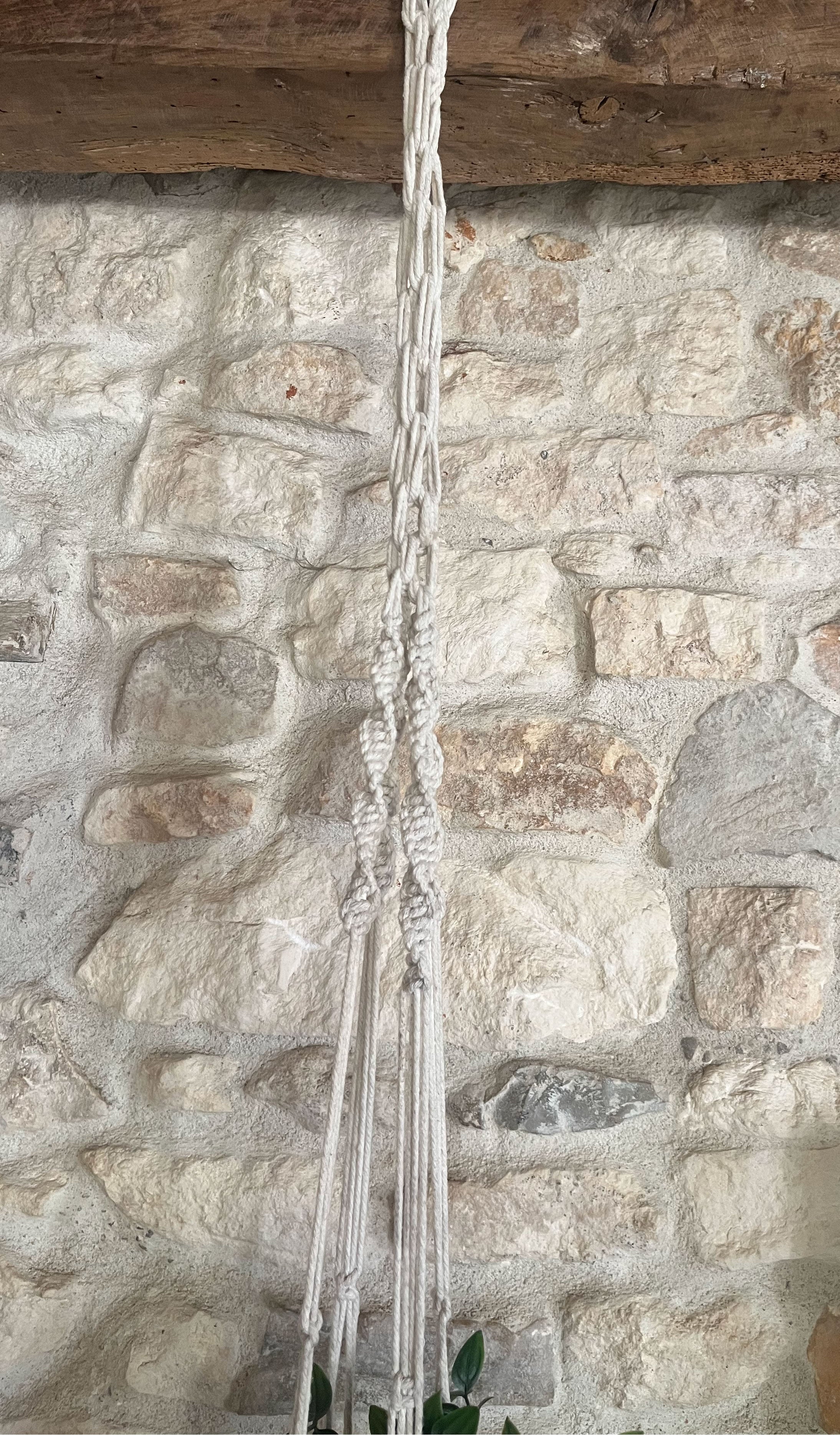 Suspension plante